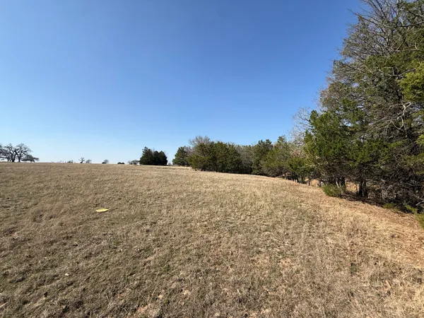 a view of dirt field with trees