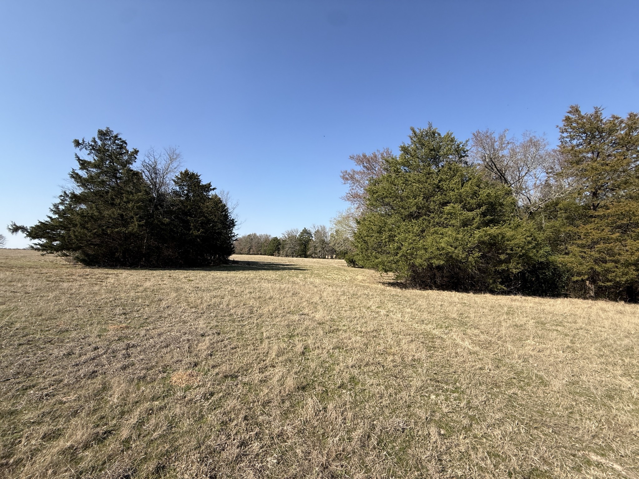 3 Fcr 510 Fairfield, TX 75840 - Photo 36 of 45