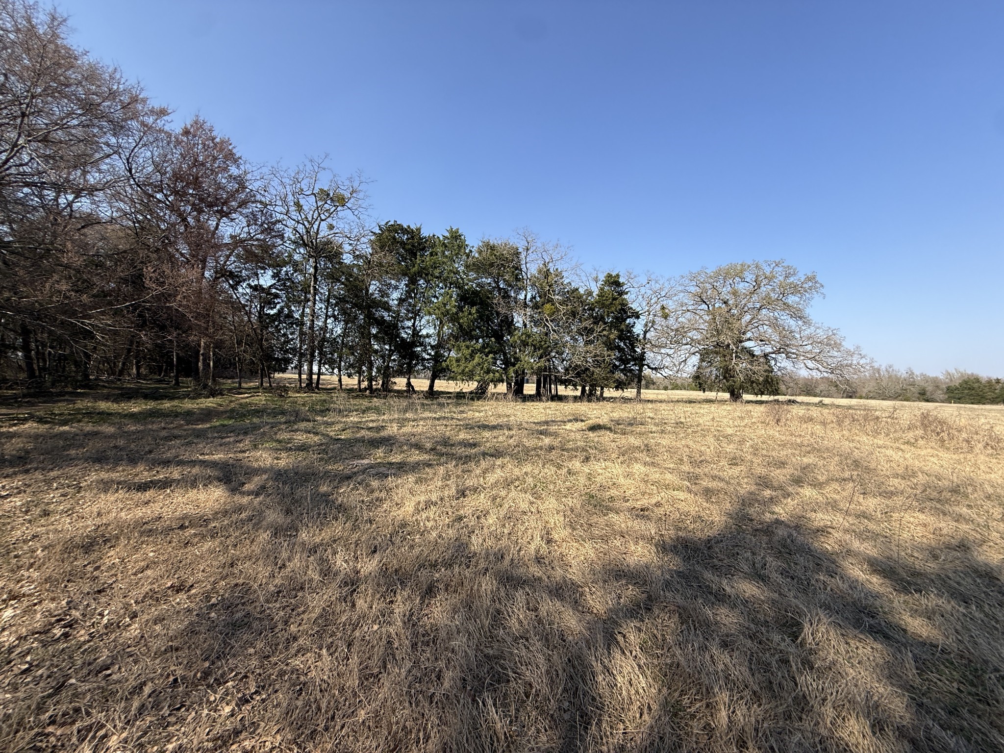 3 Fcr 510 Fairfield, TX 75840 - Photo 37 of 45 a view of dirt field with trees