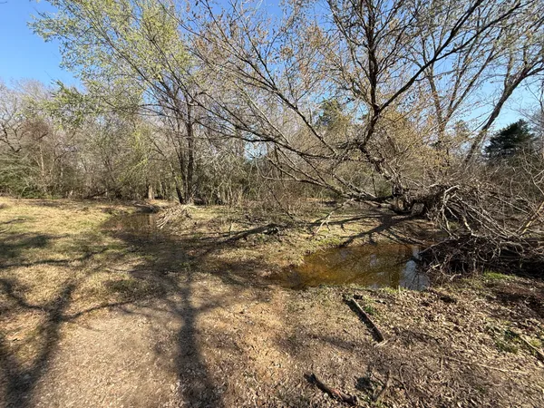 a view of lake and mountain