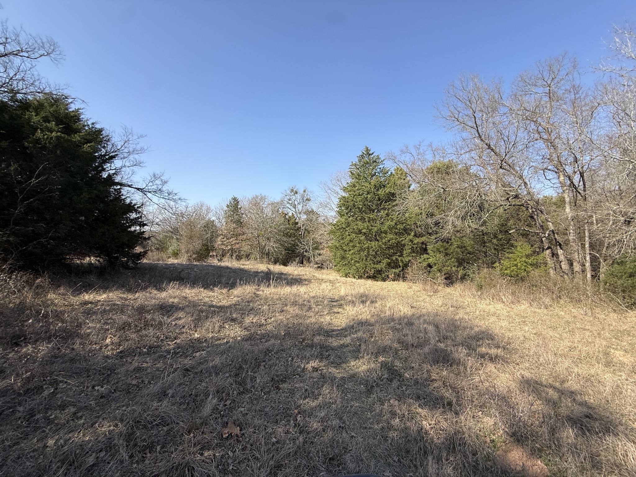 3 Fcr 510 Fairfield, TX 75840 - Photo 44 of 45 a view of dirt field with trees in the background