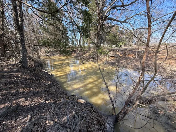 a view of yard with large trees