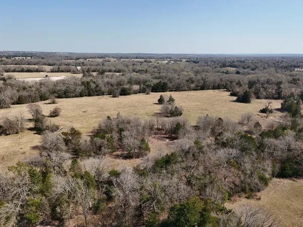 a view of a dry yard with wooden fence