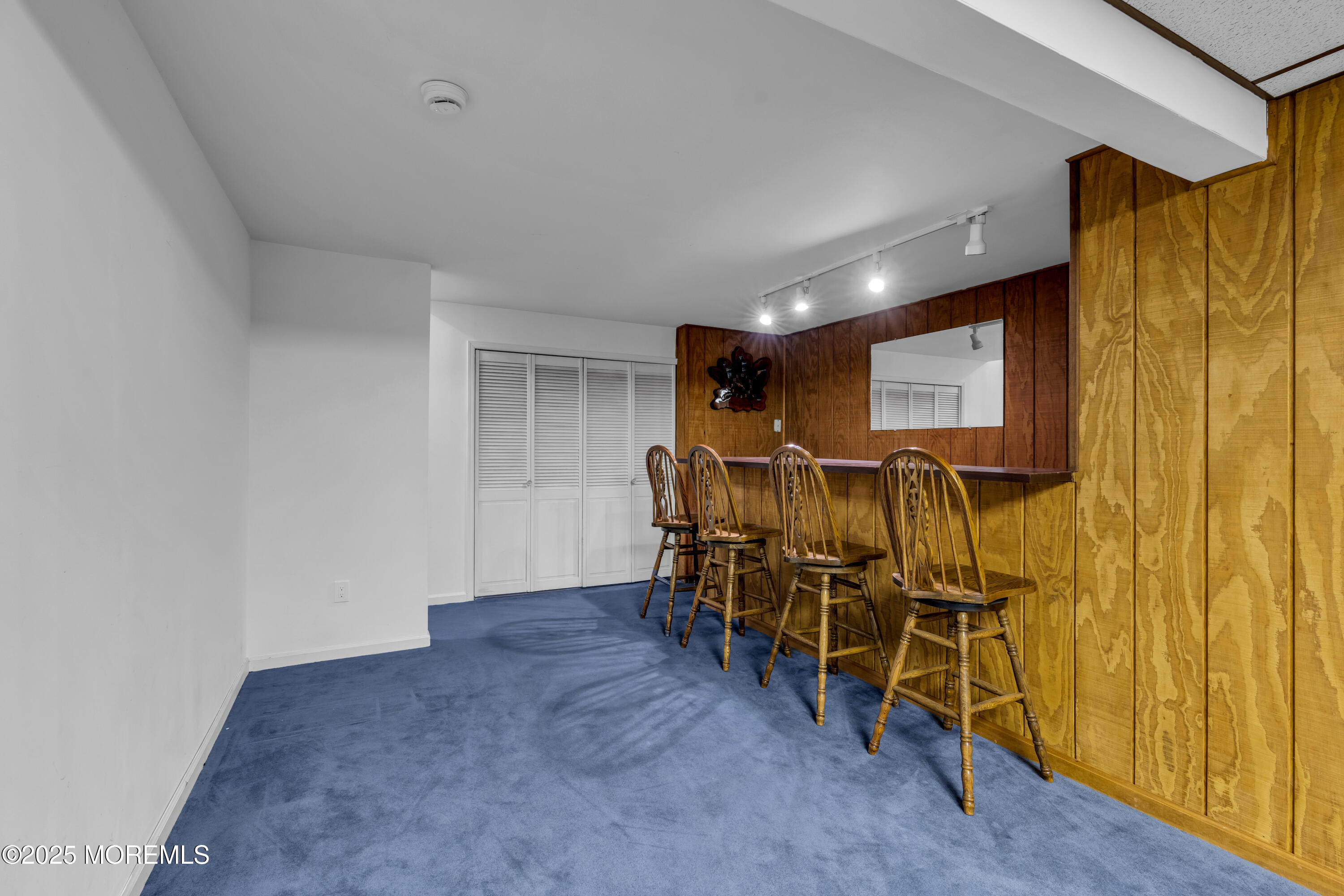 117 Paint Island Spring Road Millstone Township, NJ 08510 - Photo 49 of 87 Finished Basement