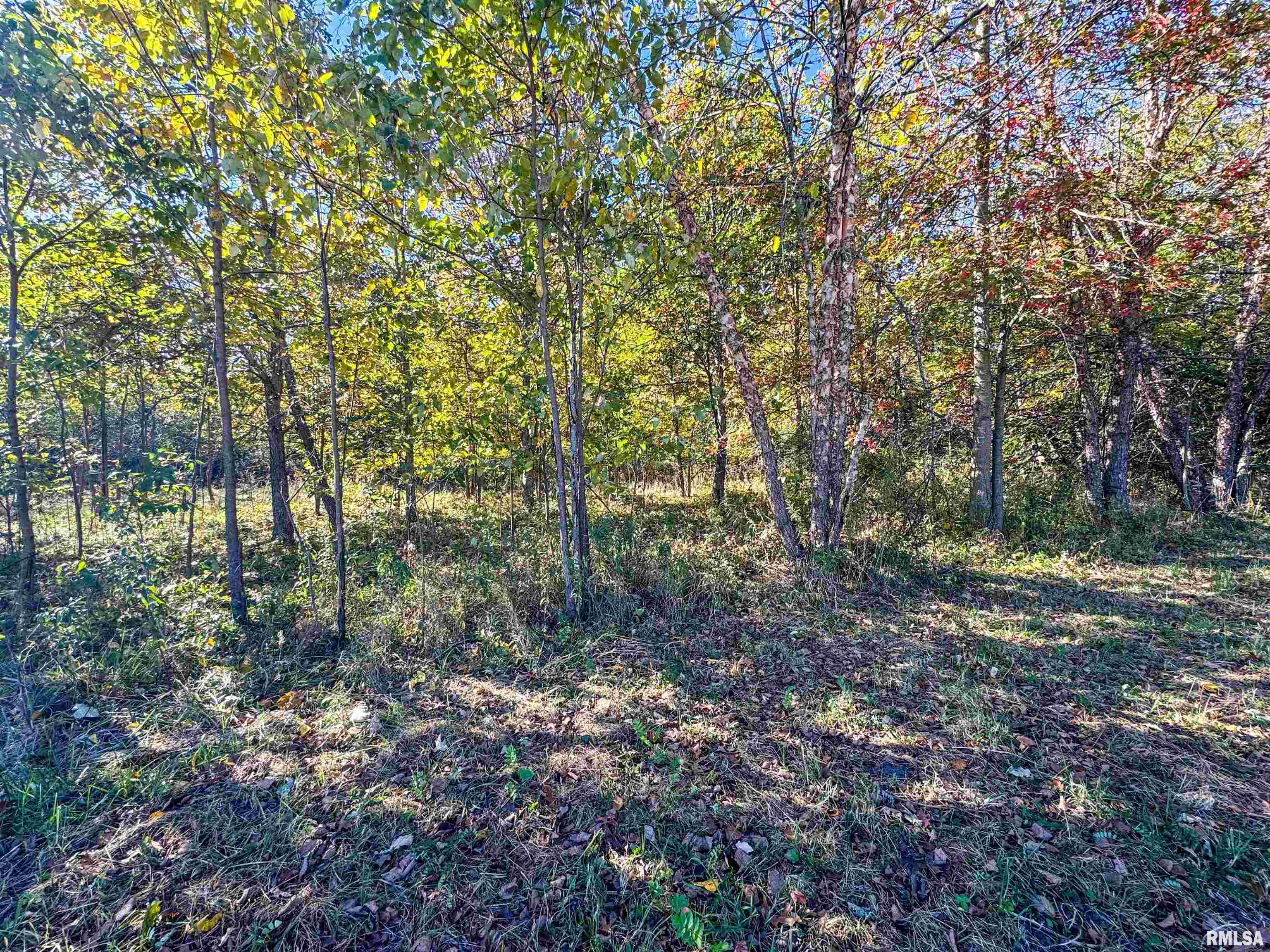 North Hampton Road Chillicothe, IL 61523 - Photo 22 of 31 Gallery Image 22