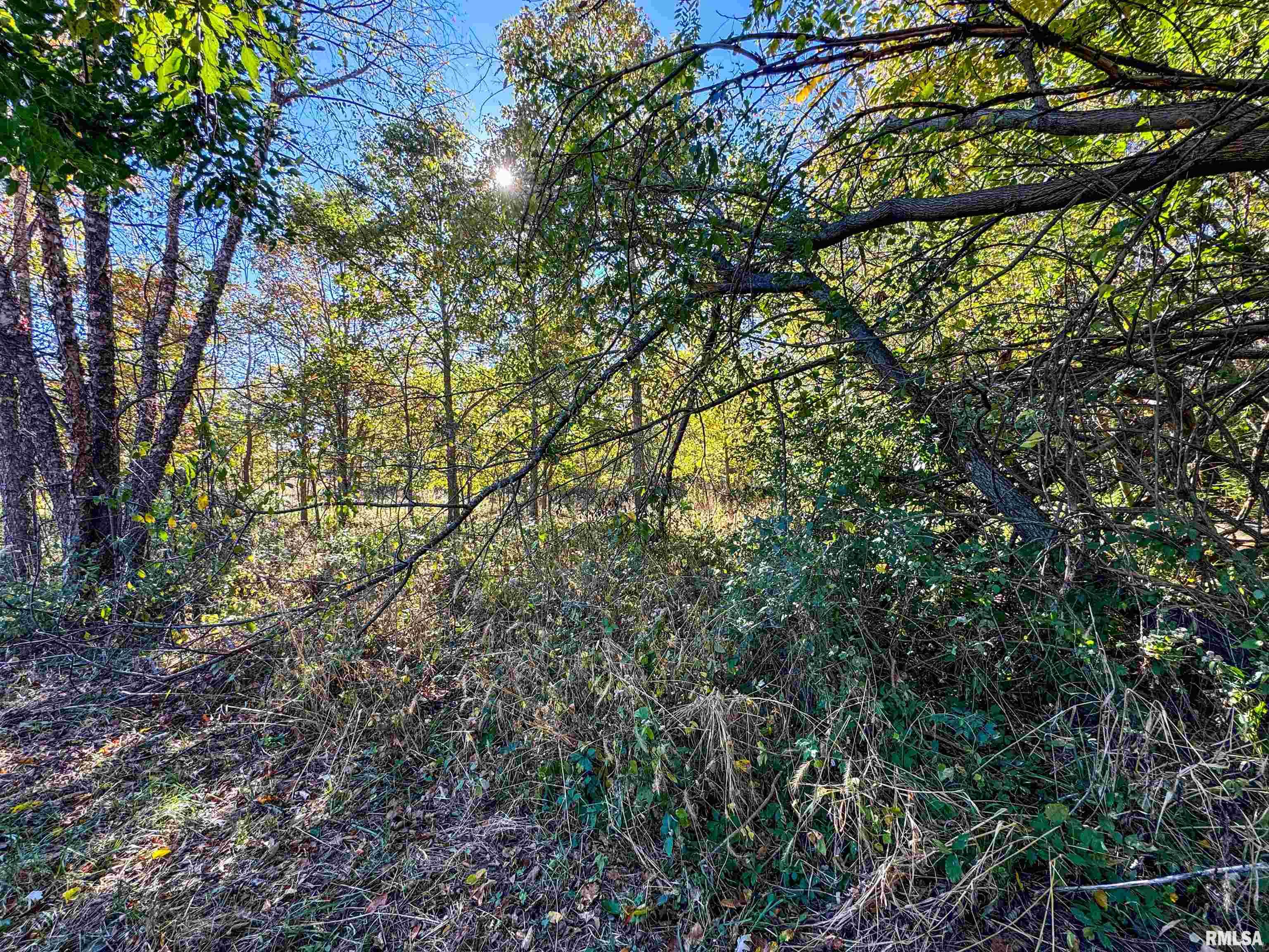 North Hampton Road Chillicothe, IL 61523 - Photo 23 of 31 Gallery Image 23