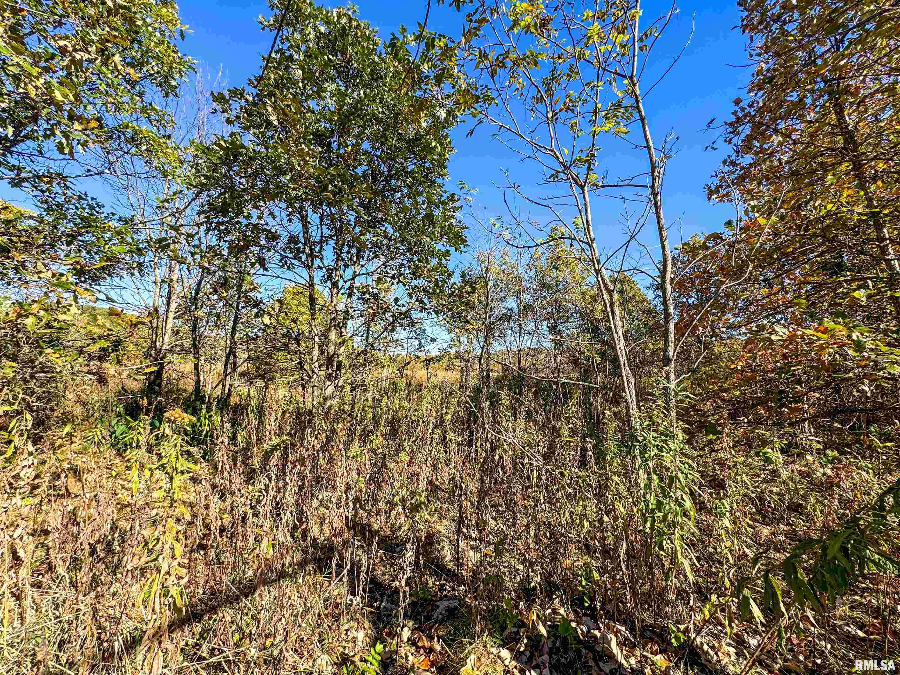 North Hampton Road Chillicothe, IL 61523 - Photo 27 of 31 Gallery Image 27