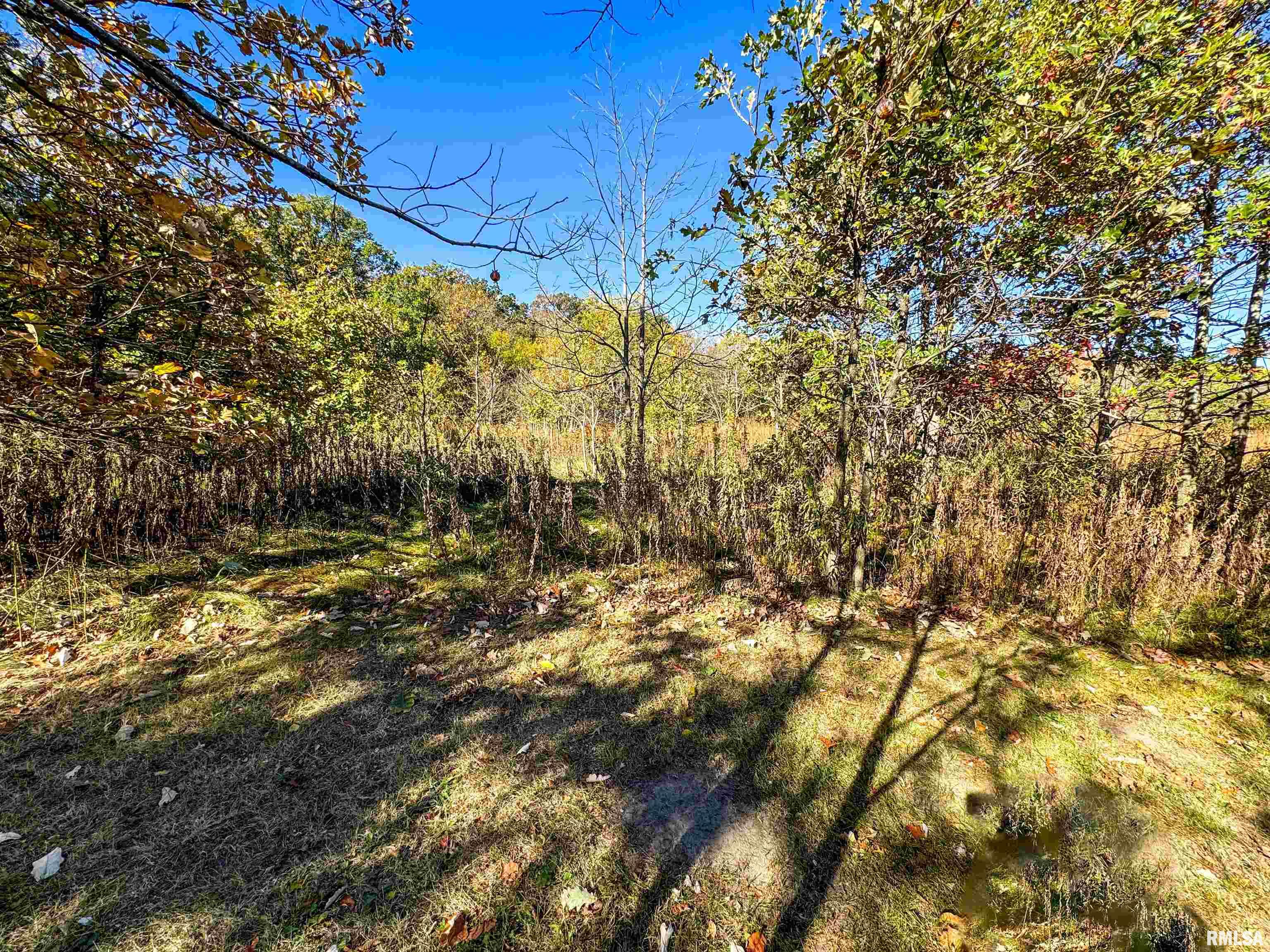North Hampton Road Chillicothe, IL 61523 - Photo 29 of 31 Gallery Image 29