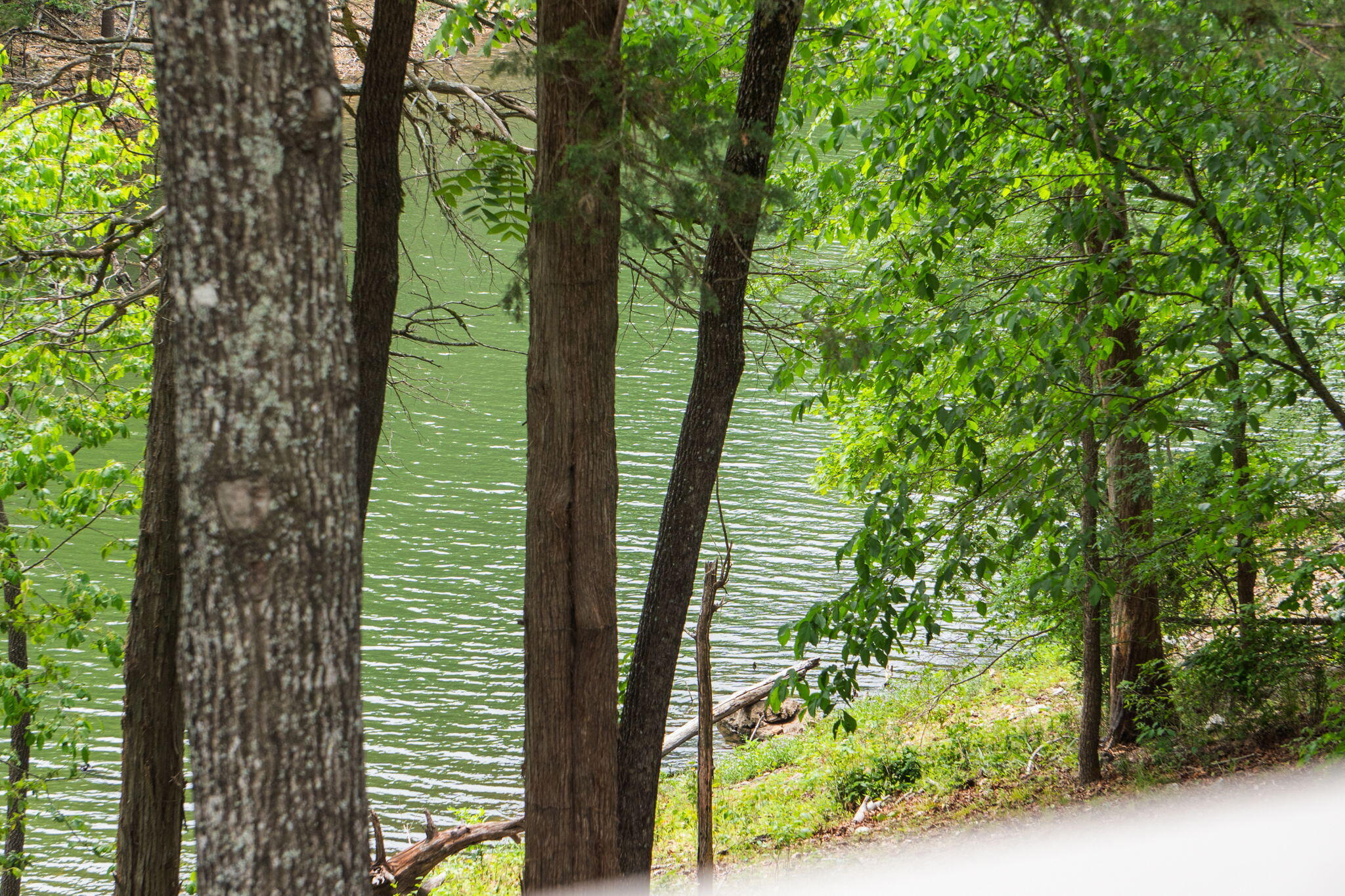 27278 Timber Springs Road Shell Knob, MO 65747 - Photo 12 of 43 28-web-or-mls-DSC01572
