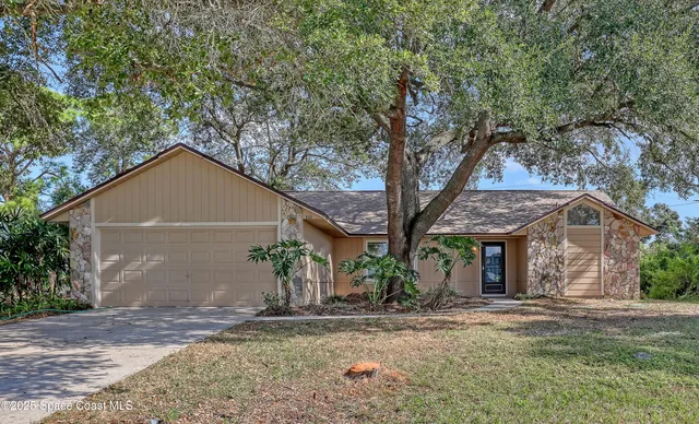 a living room with furniture potted plant and a window