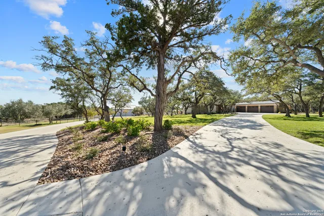 a view of a yard with plants and trees
