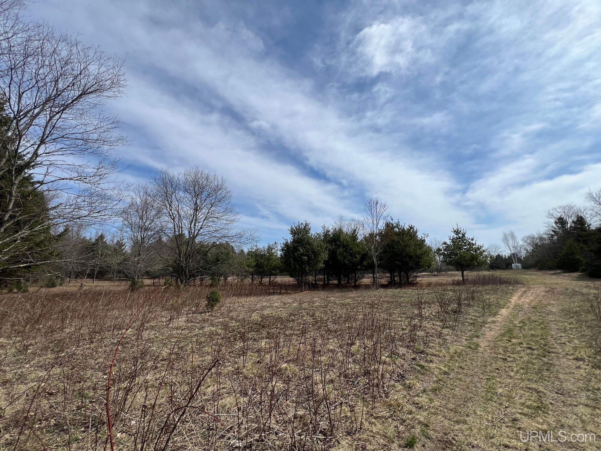 Tbd Scharstrom Road Manistique, MI 49854 - Photo 12 of 25 Gallery Image 12