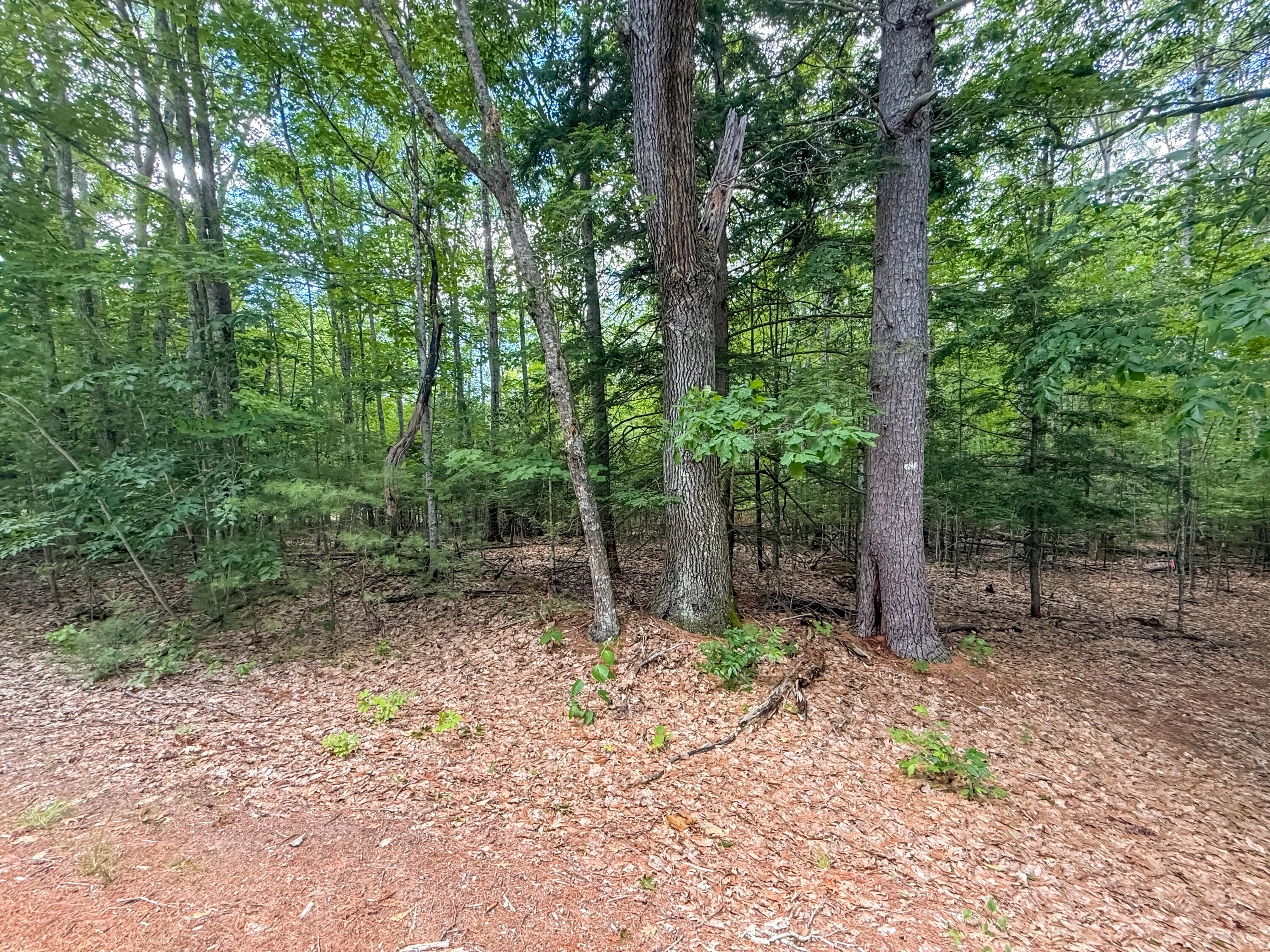Lot 36-5 Union Falls Road Buxton, ME 04093 - Photo 6 of 14 3F409952-FF00-4D71-88E4-ACDFFC613E75