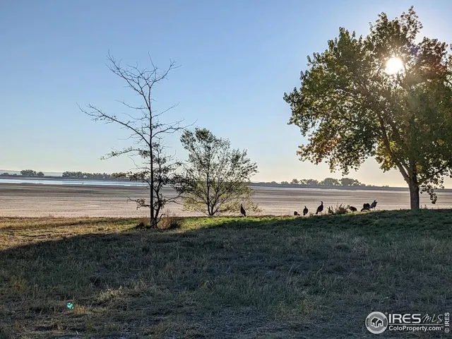 a view of a yard next to a large trees