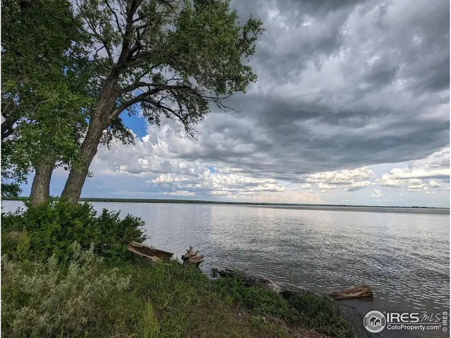 a view of a lake from a yard