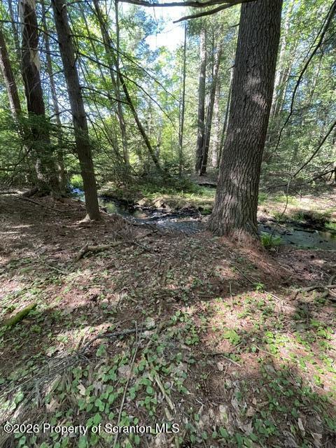 404 Martini Road Moscow, PA 18444 - Photo 7 of 12 stream view