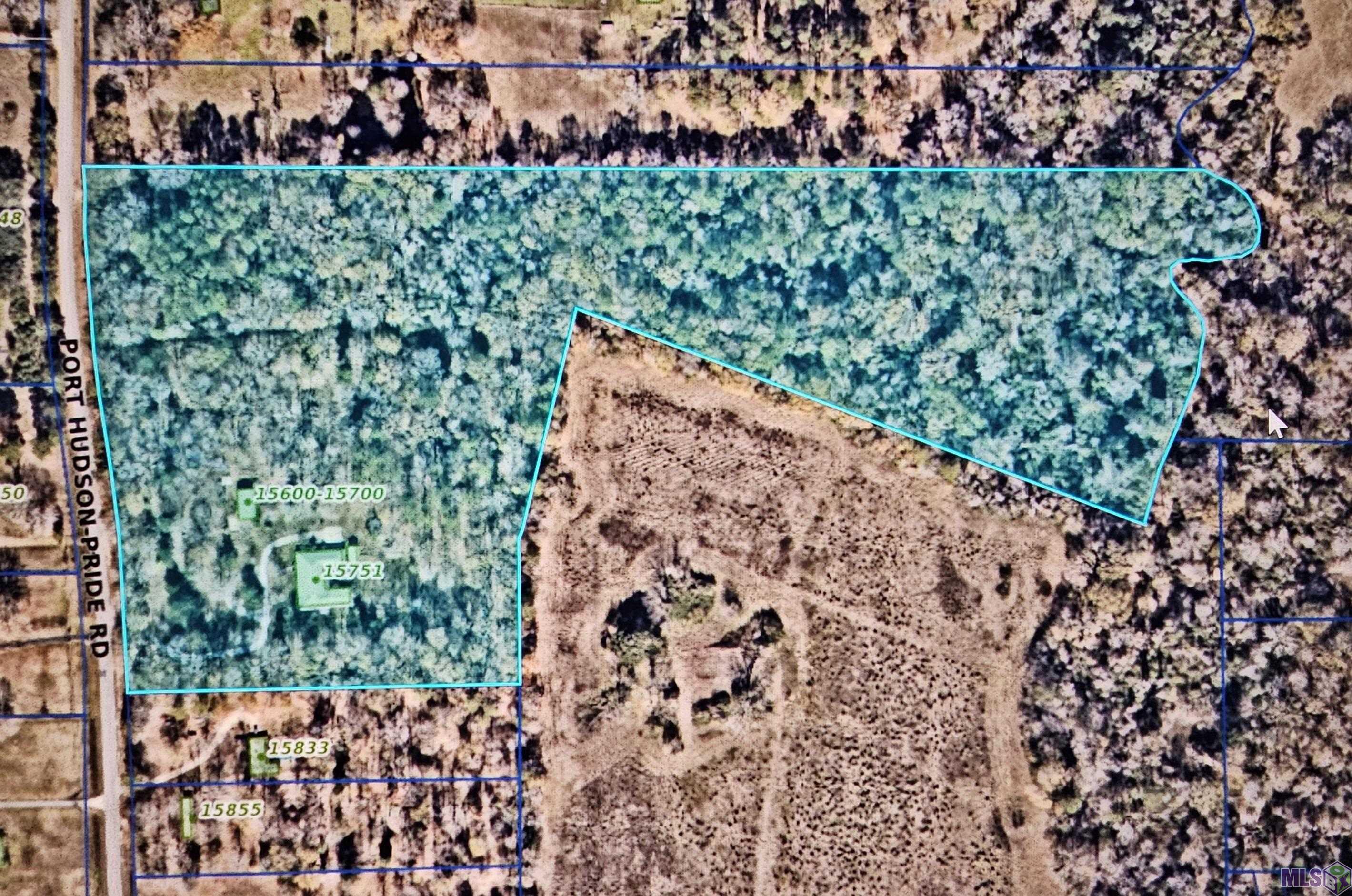 15751 Port Hudson-Pride Road Pride, LA 70770 - Photo 43 of 43 Land Layout