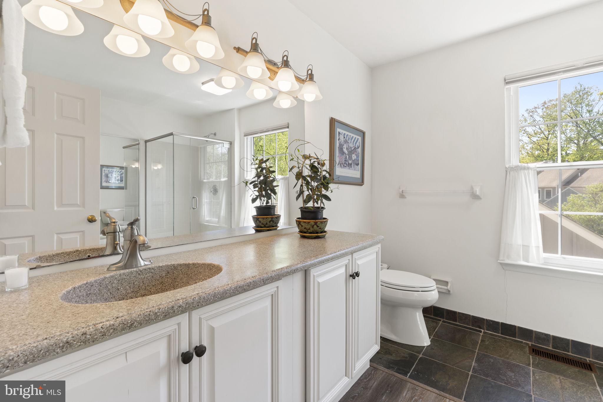 289 Tulip Tree Court Blue Bell, PA 19422 - Photo 40 of 51 a bathroom with a granite countertop sink a toilet and a mirror