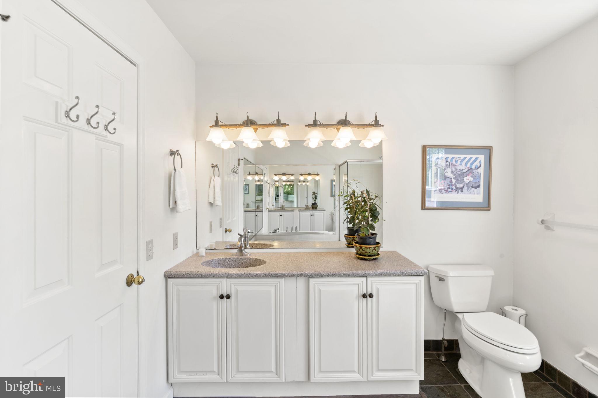 289 Tulip Tree Court Blue Bell, PA 19422 - Photo 42 of 51 a bathroom with a granite countertop sink a toilet and a mirror