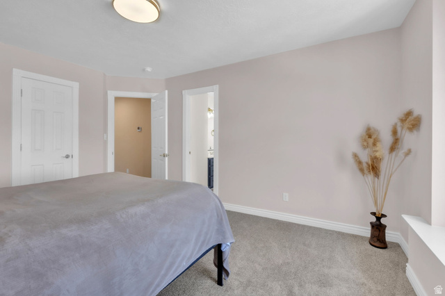 209 High Sierra Drive South Elk Ridge, UT 84651 - Photo 54 of 112