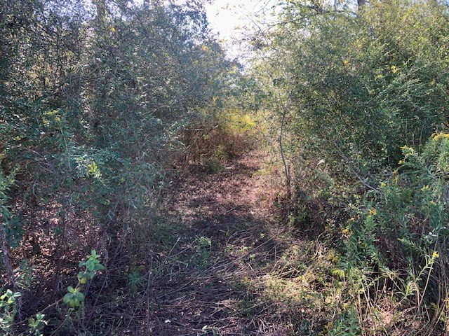 374 Harveytown Road Tylertown, MS 39667 - Photo 14 of 18 Photo 14