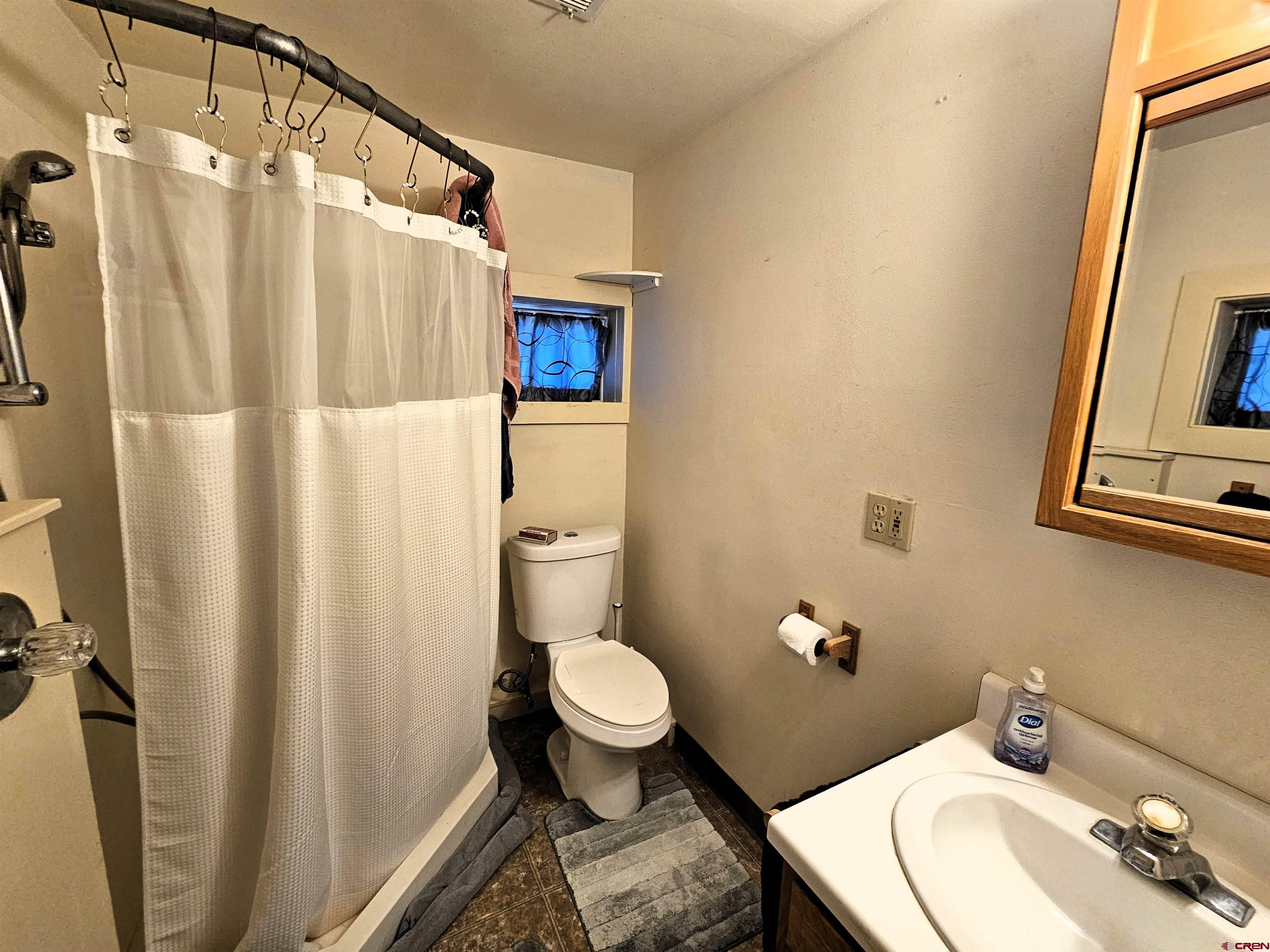 360 West 30th Street Durango, CO 81301 - Photo 15 of 30 a bathroom with a sink a toilet a mirror and shower curtain
