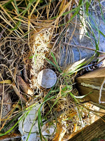 a view of an outdoor space