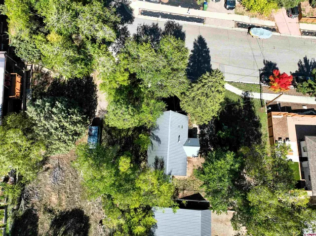 a view of a garden with plants