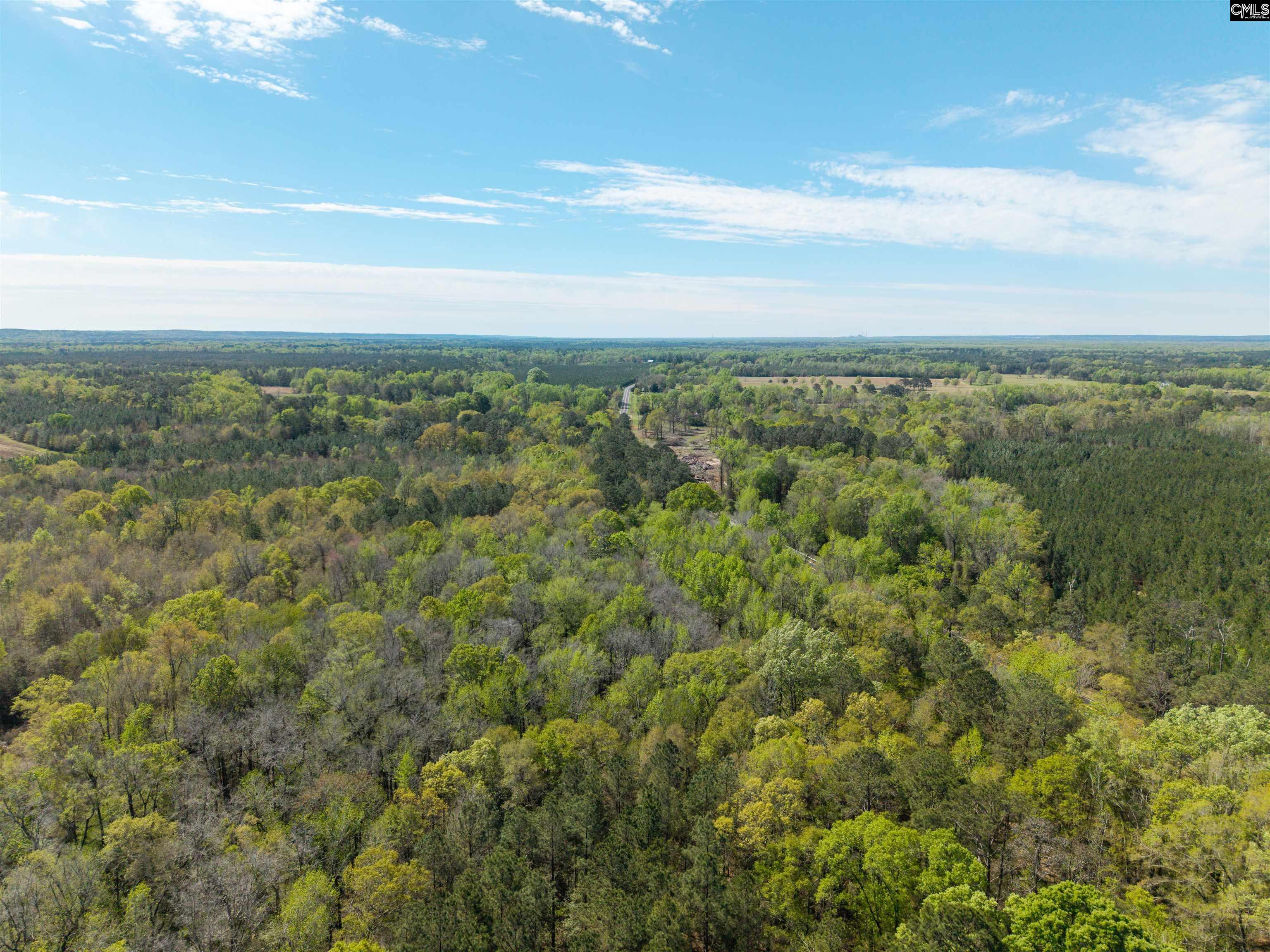 Horatio Haygood Road Rembert, SC 29128 - Photo 8 of 9