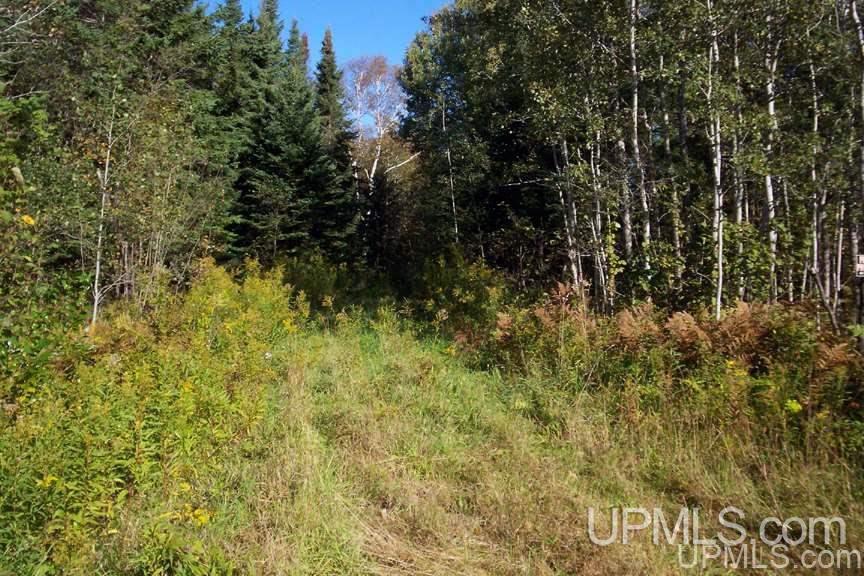 Tbd 140 Acres Off Parkington Road Gulliver, MI 49840 - Photo 3 of 11