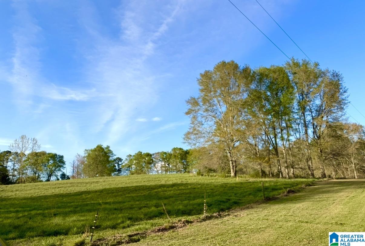 1749 McCollum Church Road Lineville, AL 36266 - Photo 57 of 66