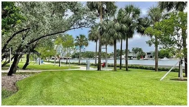 a view of a park with palm trees