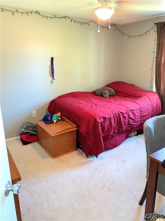 5017 Dahlia Circle Clay, NY 13088 - Photo 14 of 26