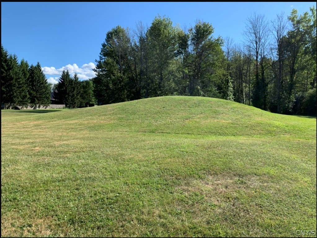 5017 Dahlia Circle Clay, NY 13088 - Photo 25 of 26