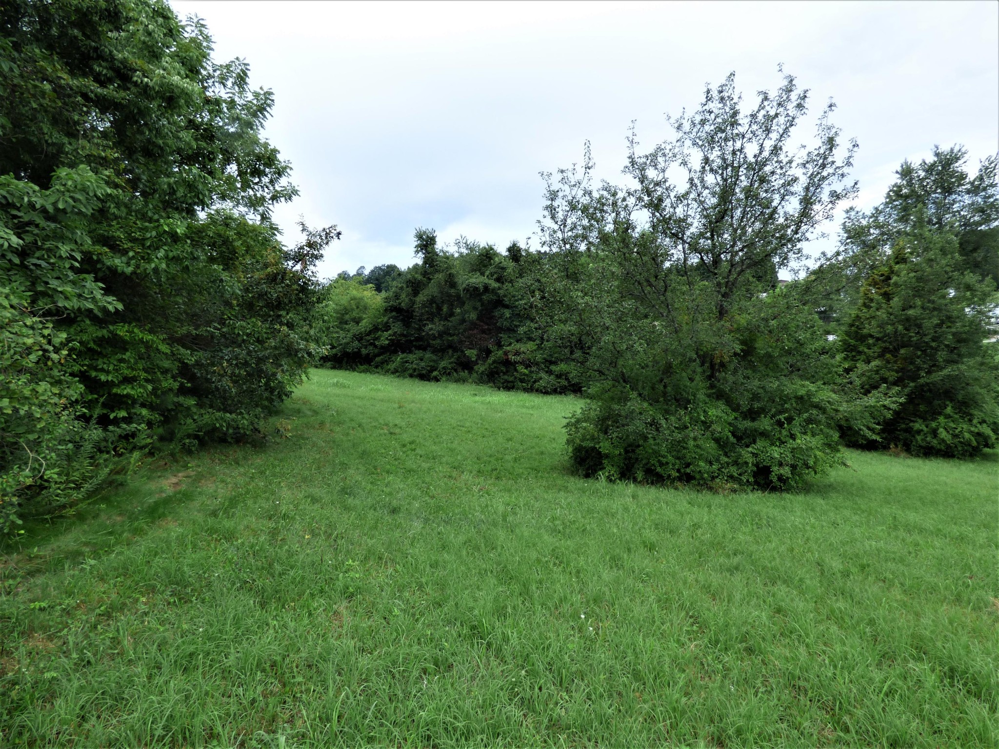 1128 Newman Riley Road Dandridge, TN 37725 - Photo 3 of 8 Gallery Image 3