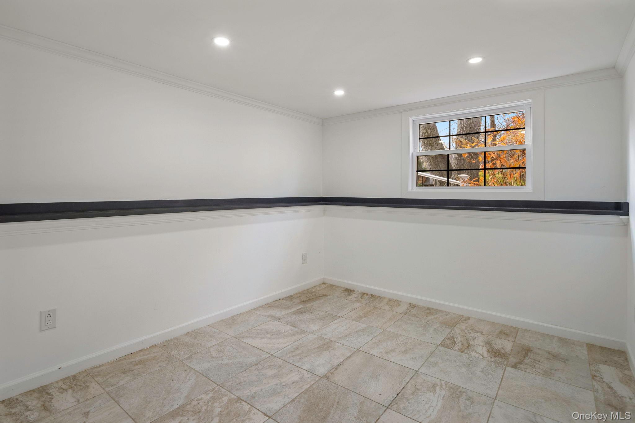 379 South White Rock Road Holmes, NY 12531 - Photo 16 of 26 Spare room on lower level with crown molding, & recessed lighting and abundant natural light