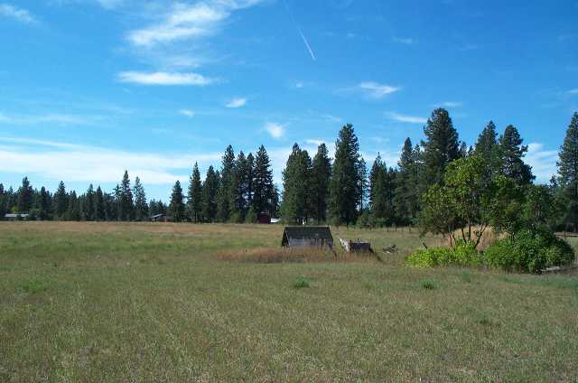 5114 East Handy Road Colbert, WA 99005 - Photo 5 of 5