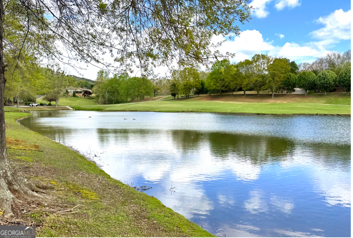 0 Crabapple Road Clarkesville, GA 30523 - Photo 2 of 4