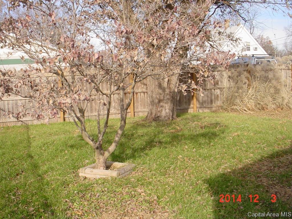 2153 East Reservoir Street Springfield, IL 62702 - Photo 5 of 14