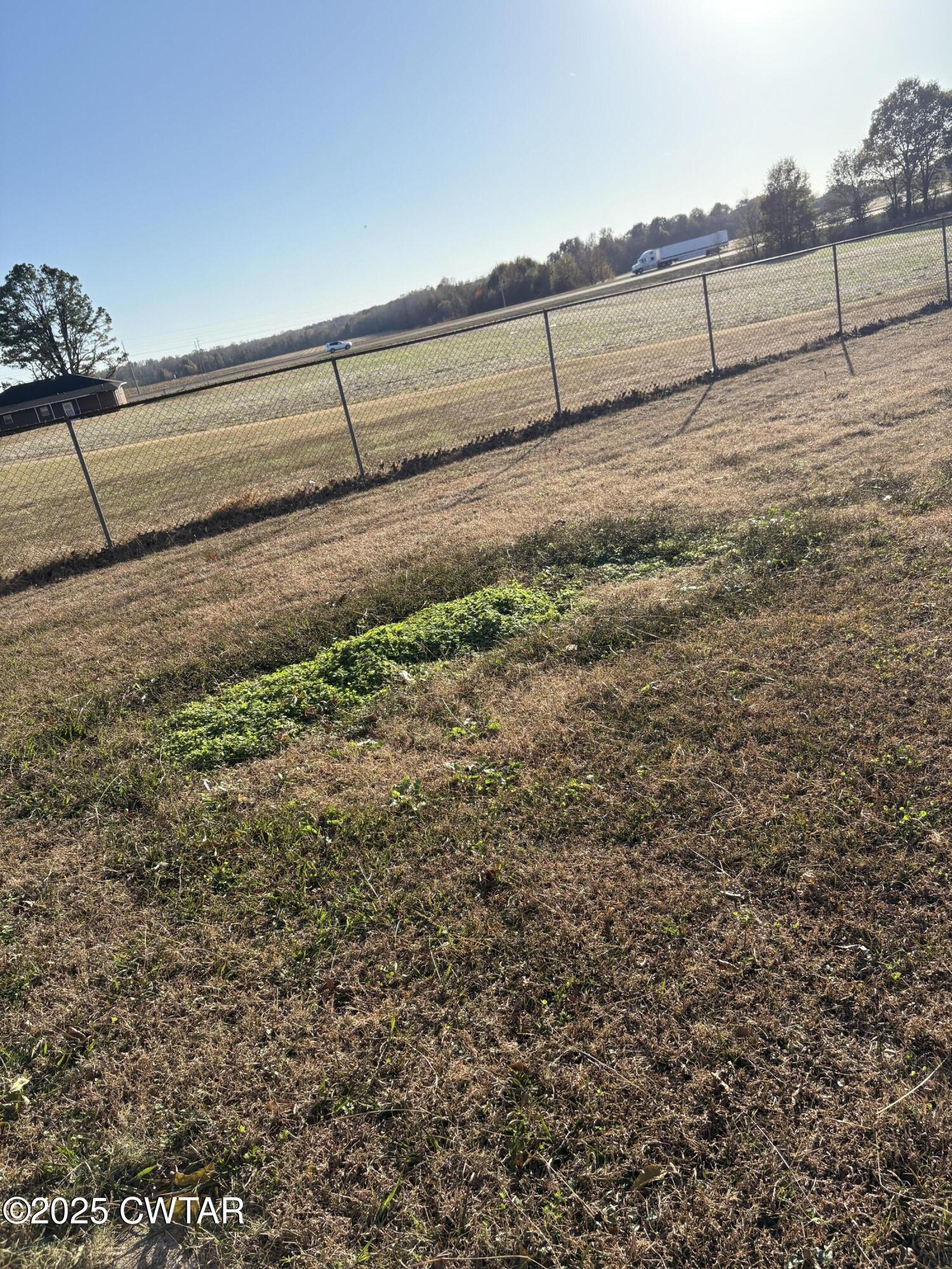 115 Jaynes Road Bells, TN 38006 - Photo 17 of 19 a view of a yard