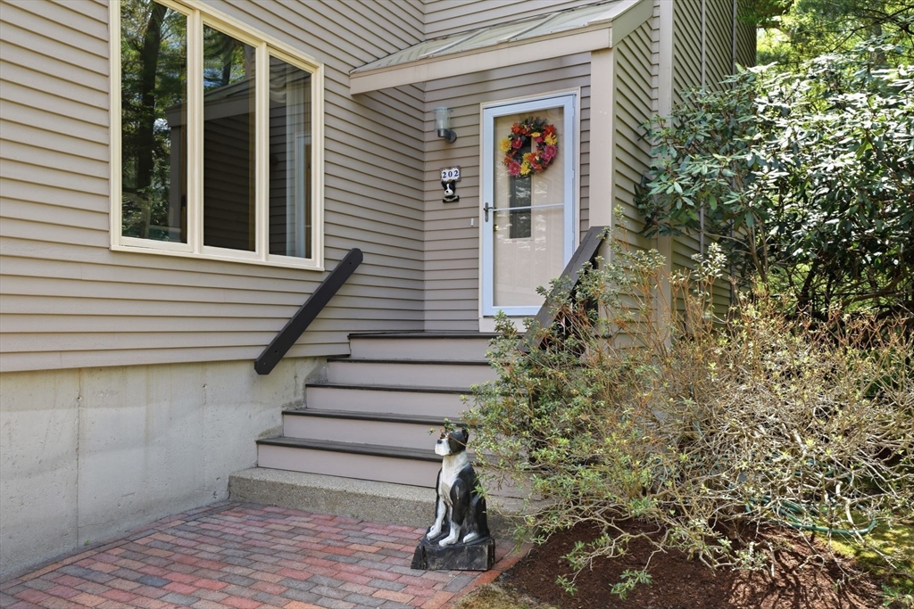 202 Hampton Road Sharon, MA 02067 - Photo 3 of 42