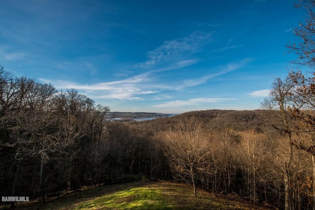 8622 Fisher Road Galena, IL 61036 - Photo 6 of 7 a view of a lake with mountains in the background