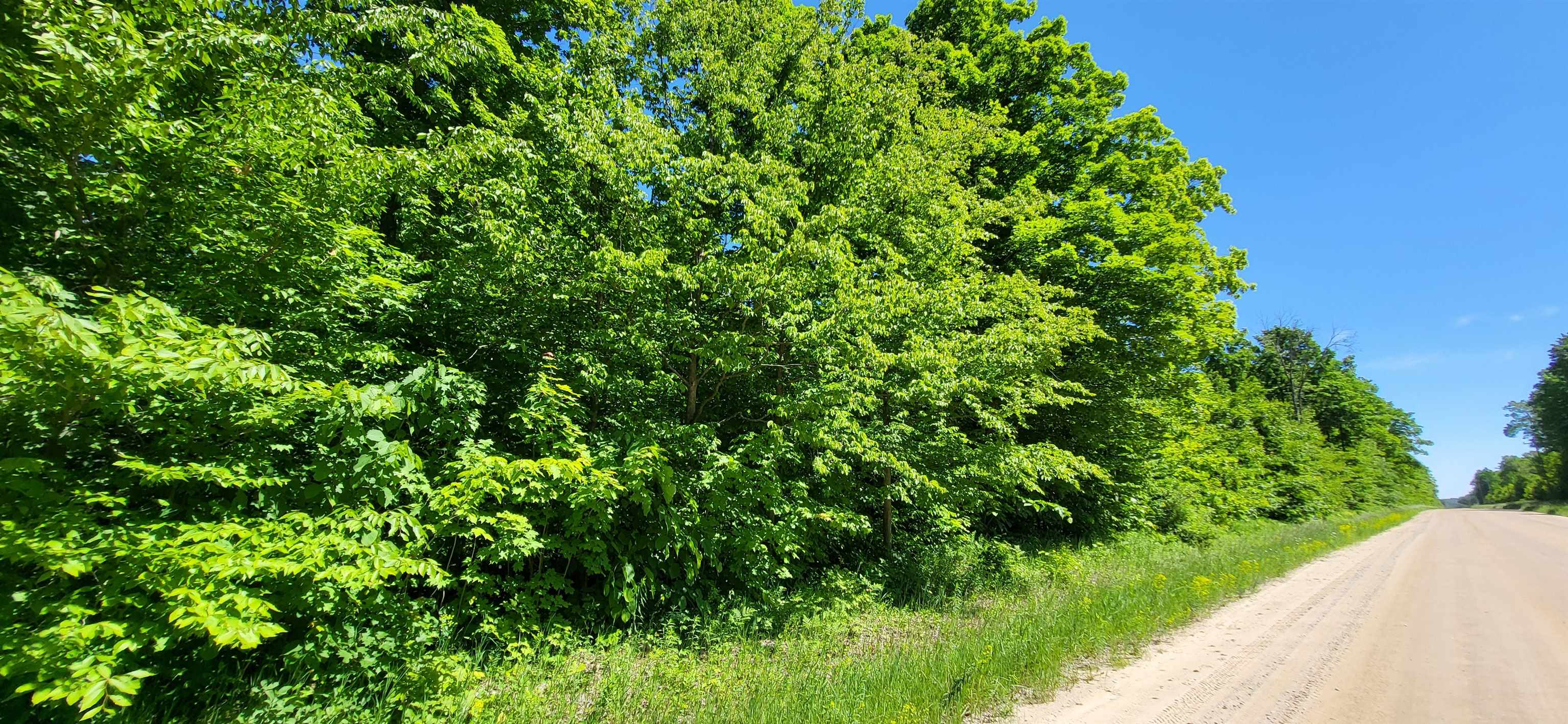 Tbd Bocook Road Mancelona, MI 49659 - Photo 1 of 46