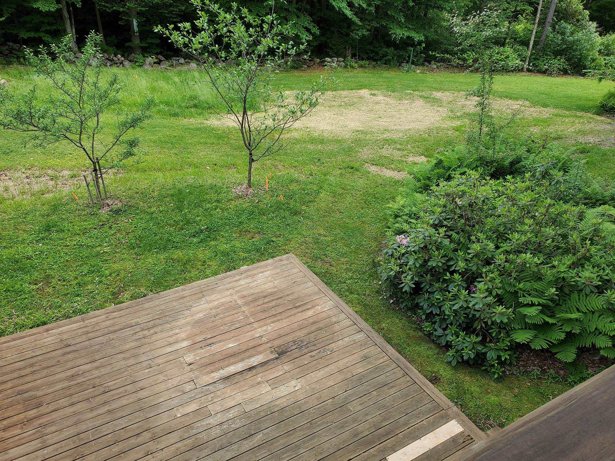 1102 South Wardsboro Road Newfane, VT 05345 - Photo 36 of 36
