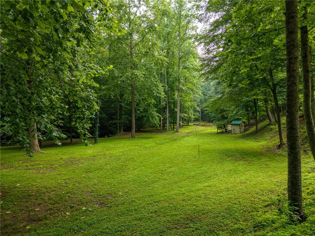 1117 Rambling Road Fairmount, GA 30139 - Photo 7 of 74