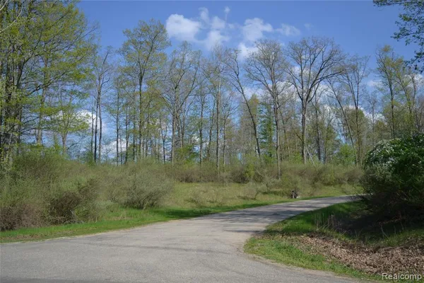 $449,900 | 0 Oak Ridge Court, Prescott, MI 48756