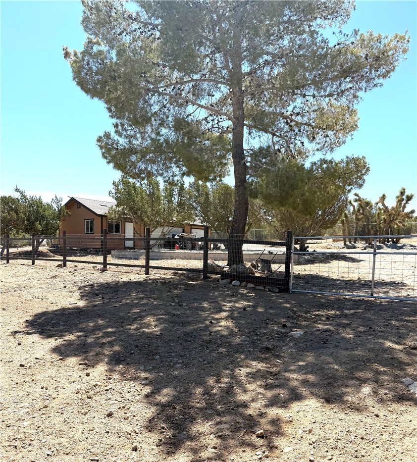 984 Pinon Road Pinon Hills, CA 92372 - Photo 25 of 45 a view of a park with large trees