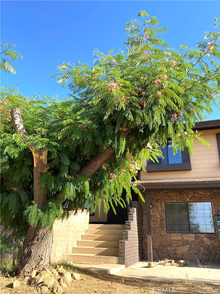 984 Pinon Road Pinon Hills, CA 92372 - Photo 3 of 45 a view of a garden with plants