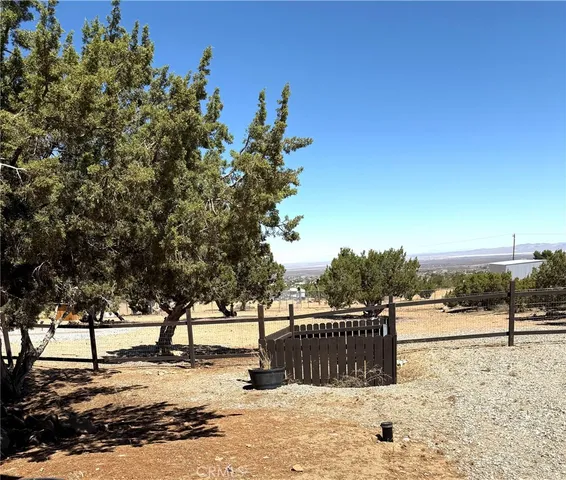 a view of a yard next to a road