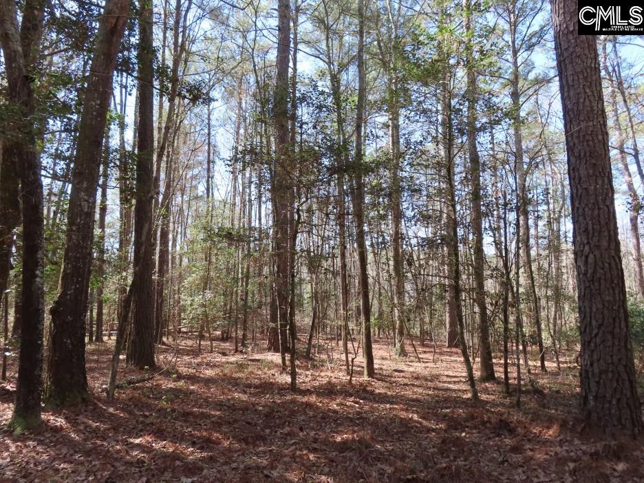 1672 Dixired Road Leesville, SC 29070 - Photo 8 of 67